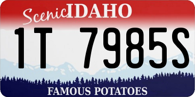 ID license plate 1T7985S