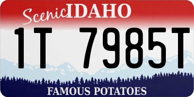 ID license plate 1T7985T