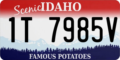 ID license plate 1T7985V