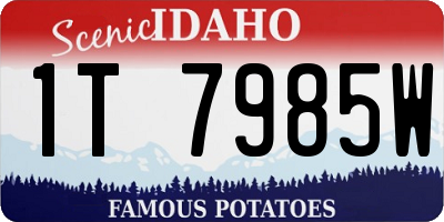 ID license plate 1T7985W