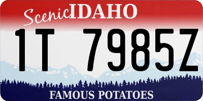 ID license plate 1T7985Z