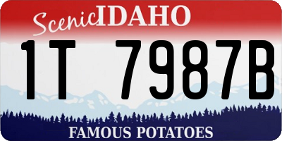 ID license plate 1T7987B