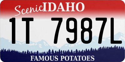 ID license plate 1T7987L