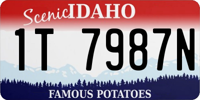 ID license plate 1T7987N