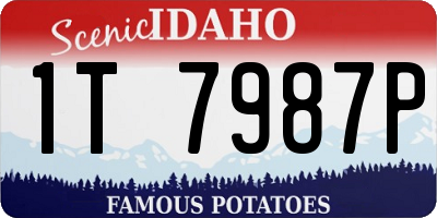 ID license plate 1T7987P