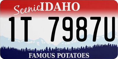 ID license plate 1T7987U