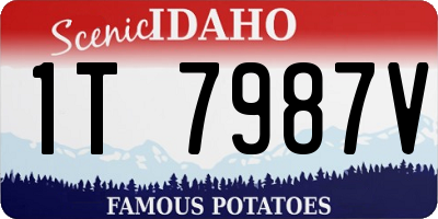 ID license plate 1T7987V
