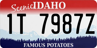 ID license plate 1T7987Z