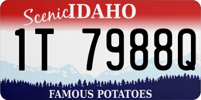 ID license plate 1T7988Q