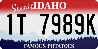 ID license plate 1T7989K