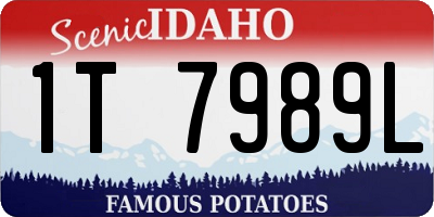 ID license plate 1T7989L