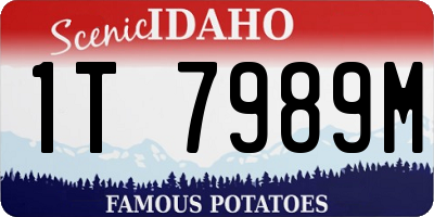 ID license plate 1T7989M
