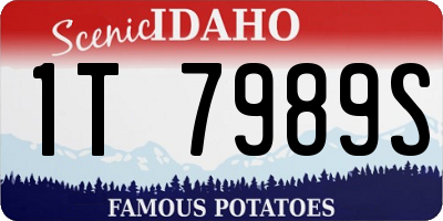 ID license plate 1T7989S