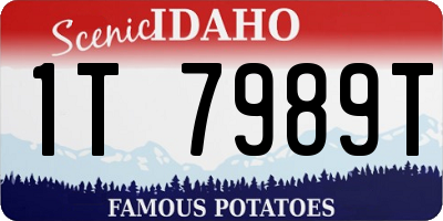 ID license plate 1T7989T