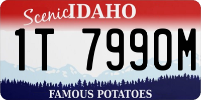ID license plate 1T7990M