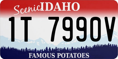 ID license plate 1T7990V