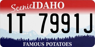 ID license plate 1T7991J