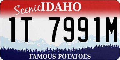 ID license plate 1T7991M