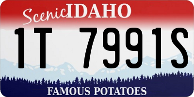 ID license plate 1T7991S