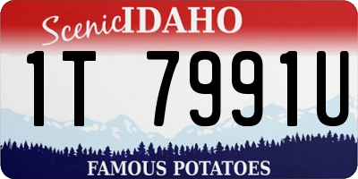 ID license plate 1T7991U