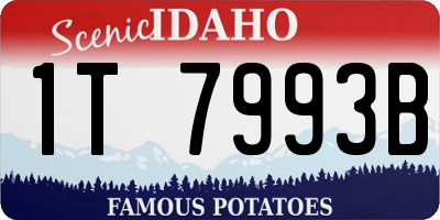 ID license plate 1T7993B