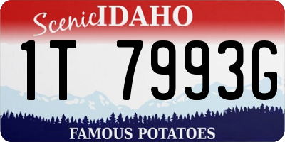 ID license plate 1T7993G