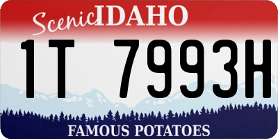 ID license plate 1T7993H