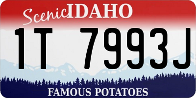 ID license plate 1T7993J