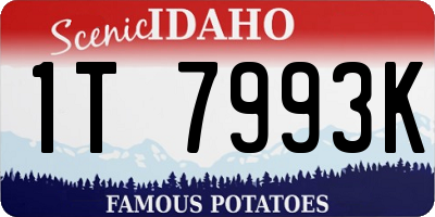 ID license plate 1T7993K