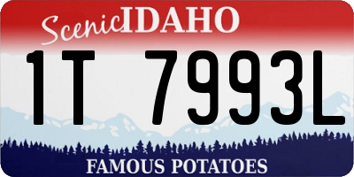 ID license plate 1T7993L