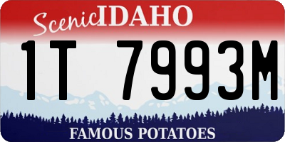 ID license plate 1T7993M
