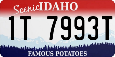 ID license plate 1T7993T