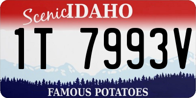 ID license plate 1T7993V