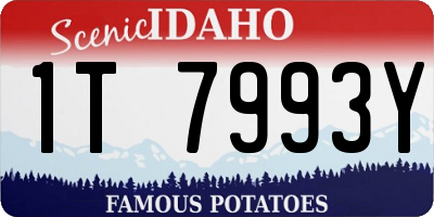ID license plate 1T7993Y