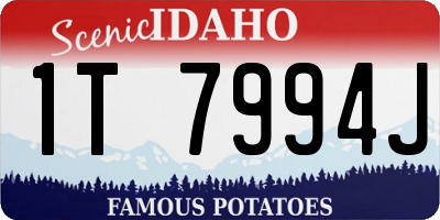 ID license plate 1T7994J