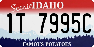 ID license plate 1T7995C