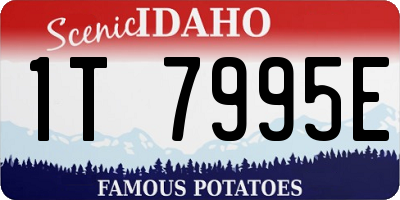 ID license plate 1T7995E