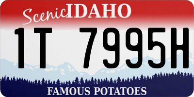 ID license plate 1T7995H