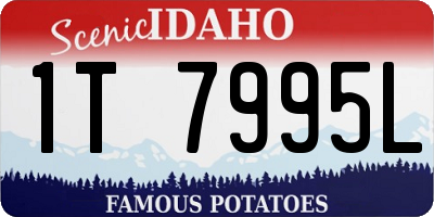 ID license plate 1T7995L