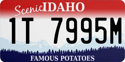 ID license plate 1T7995M
