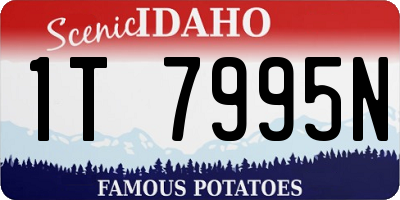 ID license plate 1T7995N