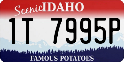 ID license plate 1T7995P