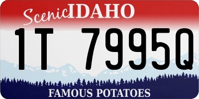 ID license plate 1T7995Q