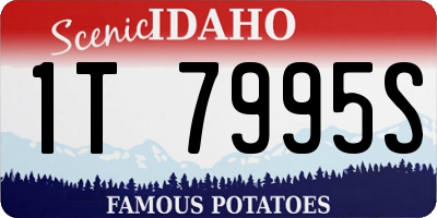 ID license plate 1T7995S
