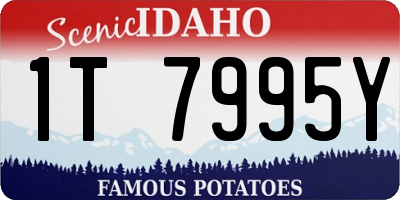 ID license plate 1T7995Y