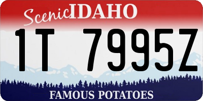 ID license plate 1T7995Z