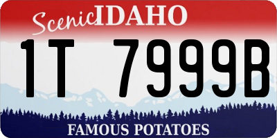 ID license plate 1T7999B
