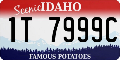 ID license plate 1T7999C