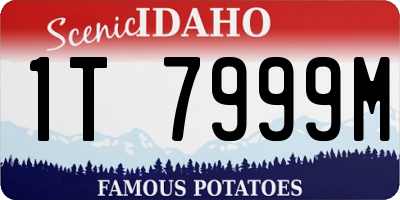 ID license plate 1T7999M