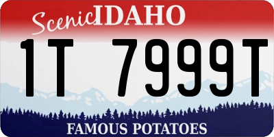 ID license plate 1T7999T